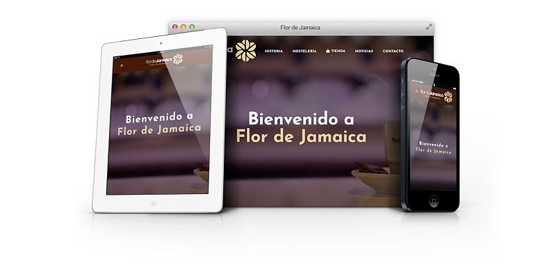 Flor de Jamaica - web